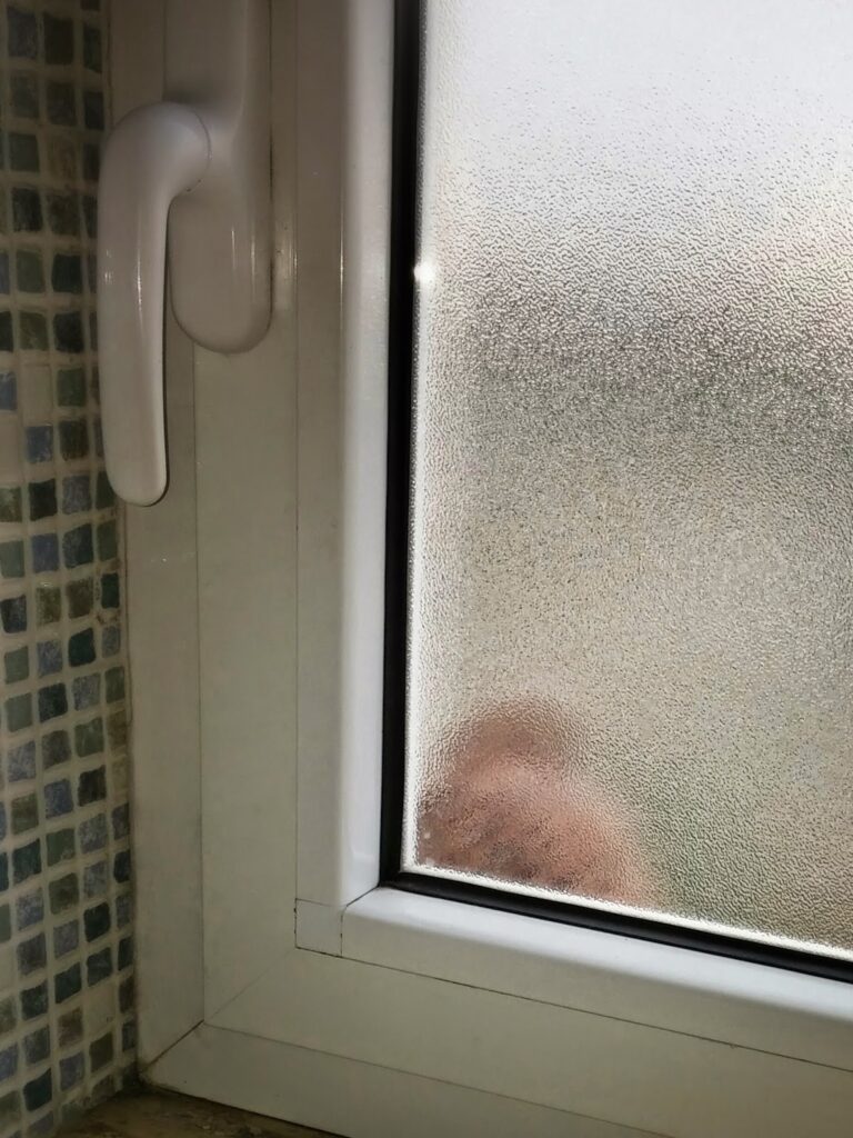 Nuovo incontro Gheppio