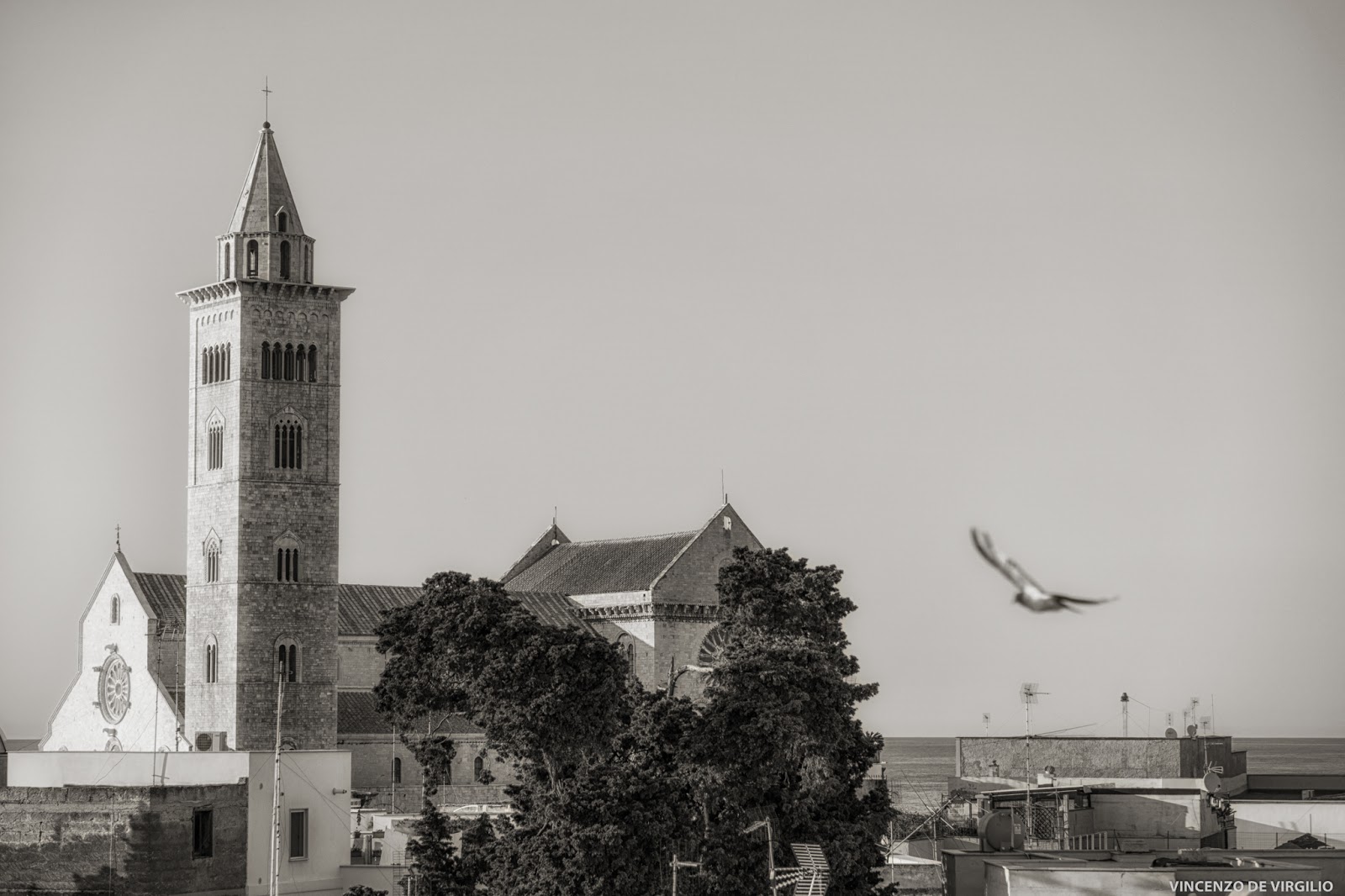 Cattedrale di Trani da vista privata
