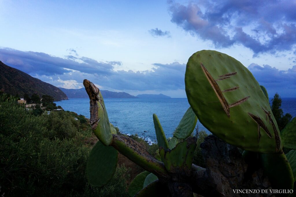Vista da Pra Venezia, Rinella (Isola di Salina, Eolie)
